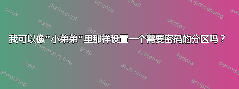 我可以像“小弟弟”里那样设置一个需要密码的分区吗？