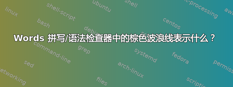 Words 拼写/语法检查器中的棕色波浪线表示什么？