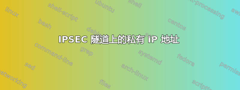 IPSEC 隧道上的私有 IP 地址