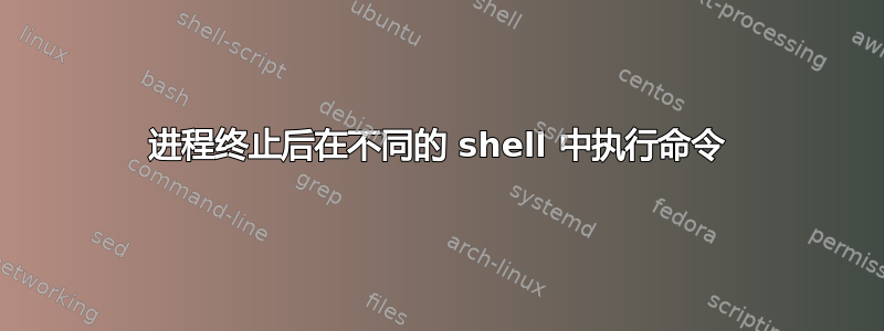 进程终止后在不同的 shell 中执行命令