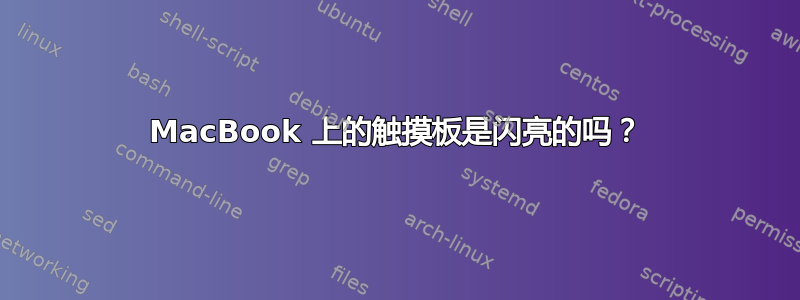 MacBook 上的触摸板是闪亮的吗？