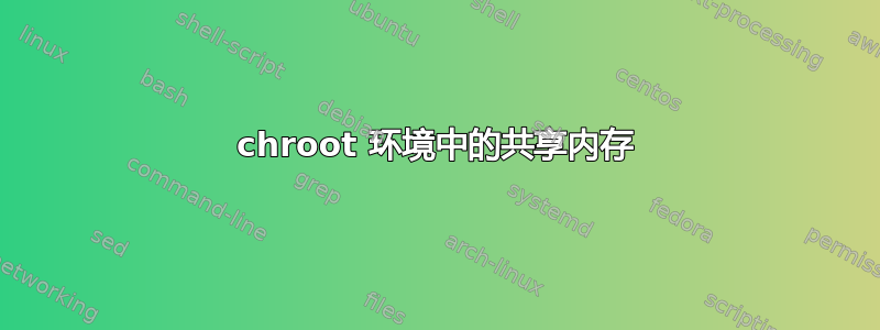 chroot 环境中的共享内存