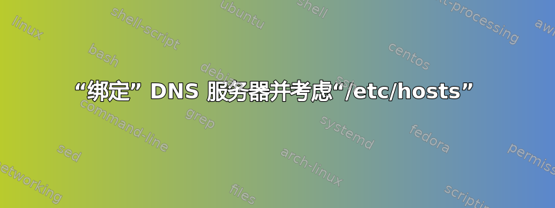 “绑定” DNS 服务器并考虑“/etc/hosts”