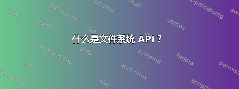 什么是文件系统 API？