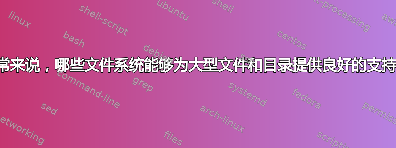 通常来说，哪些文件系统能够为大型文件和目录提供良好的支持？