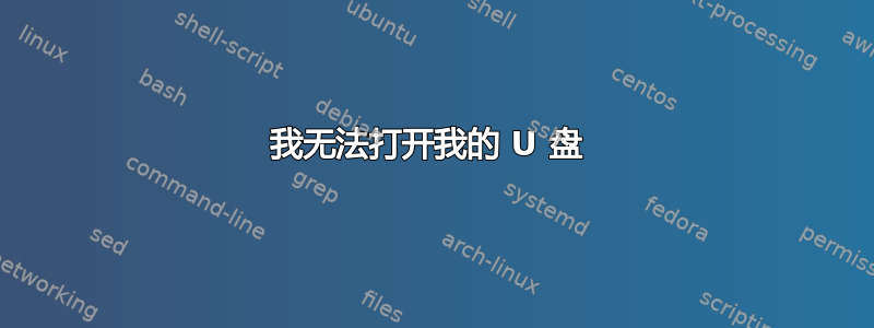 我无法打开我的 U 盘 