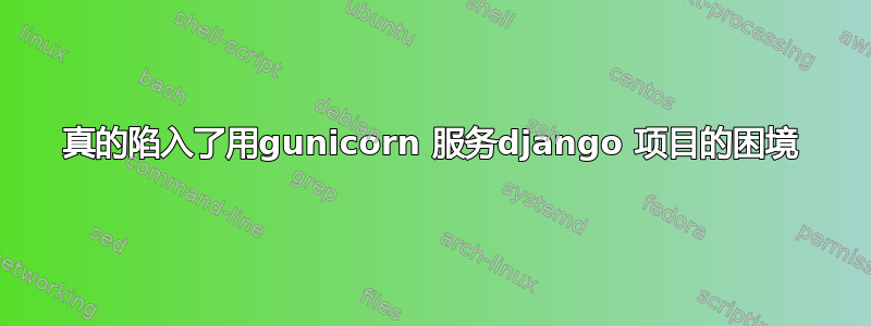 真的陷入了用gunicorn 服务django 项目的困境