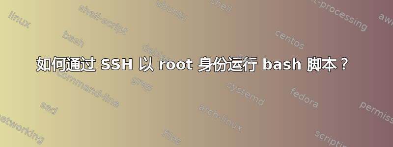 如何通过 SSH 以 root 身份运行 bash 脚本？