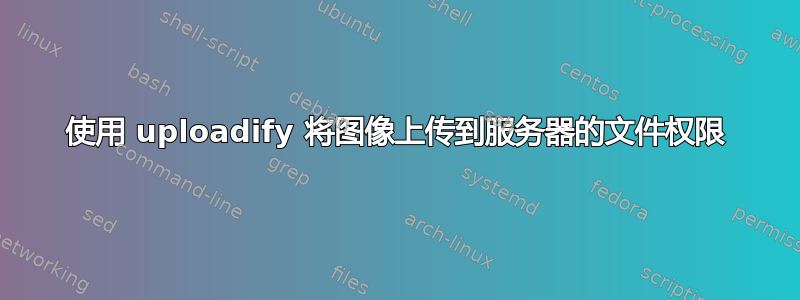 使用 uploadify 将图像上传到服务器的文件权限