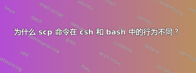 为什么 scp 命令在 csh 和 bash 中的行为不同？