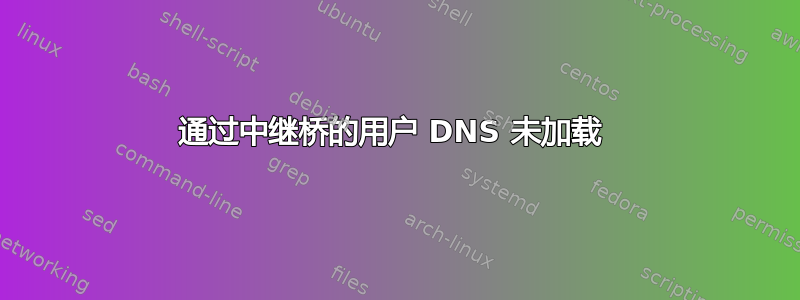 通过中继桥的用户 DNS 未加载 