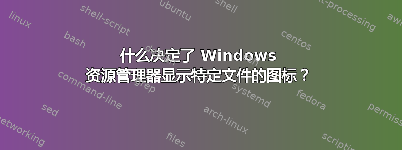 什么决定了 Windows 资源管理器显示特定文件的图标？