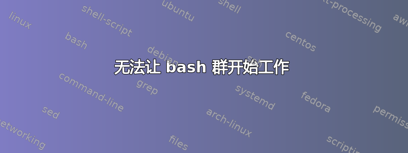 无法让 bash 群开始工作