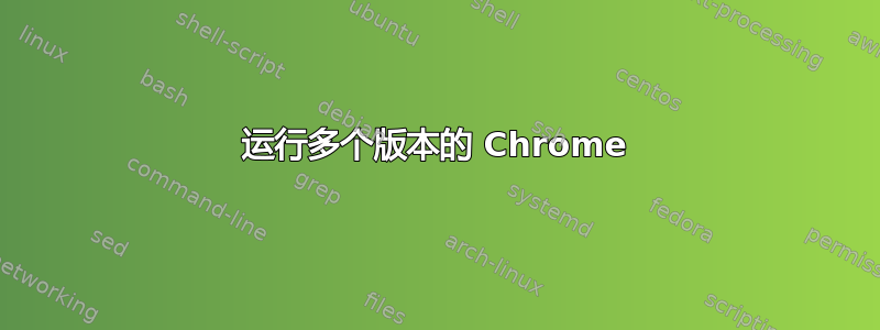 运行多个版本的 Chrome