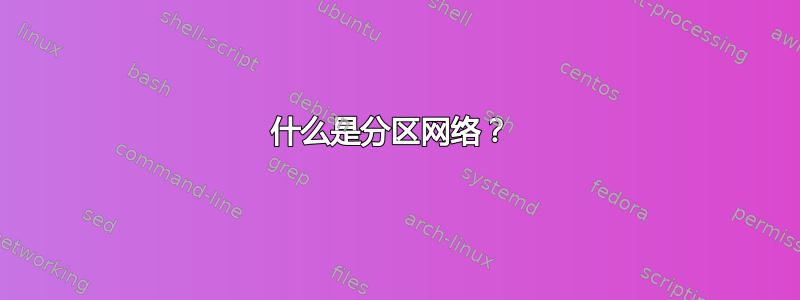 什么是分区网络？ 