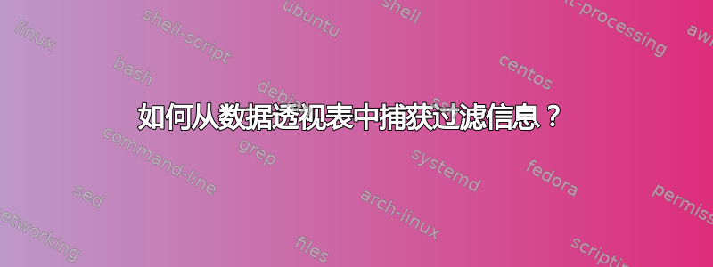 如何从数据透视表中捕获过滤信息？