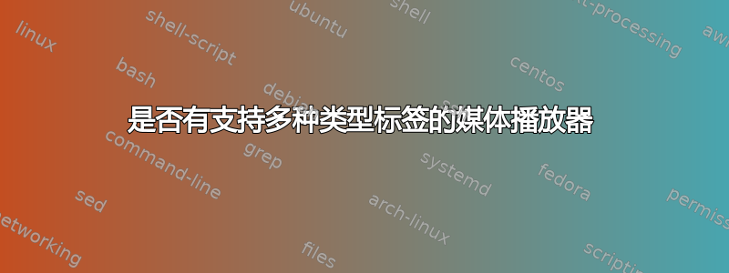 是否有支持多种类型标签的媒体播放器