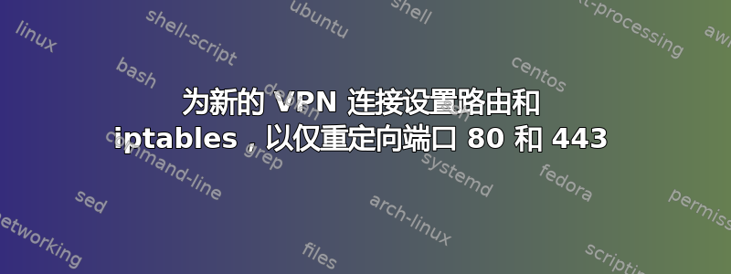 为新的 VPN 连接设置路由和 iptables，以仅重定向端口 80 和 443