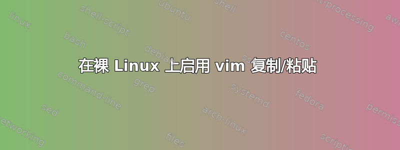 在裸 Linux 上启用 vim 复制/粘贴