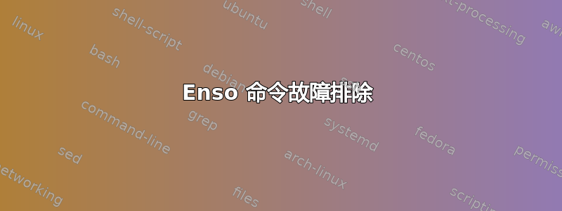 Enso 命令故障排除