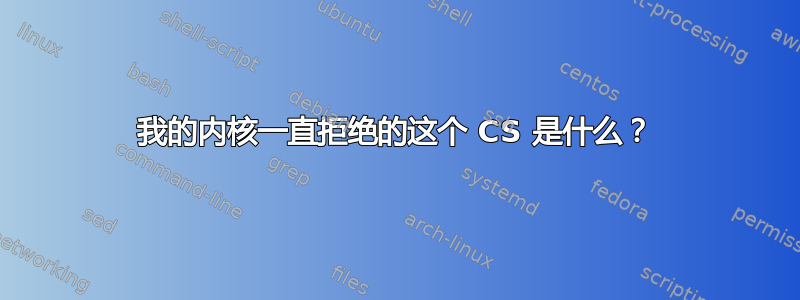 我的内核一直拒绝的这个 CS 是什么？