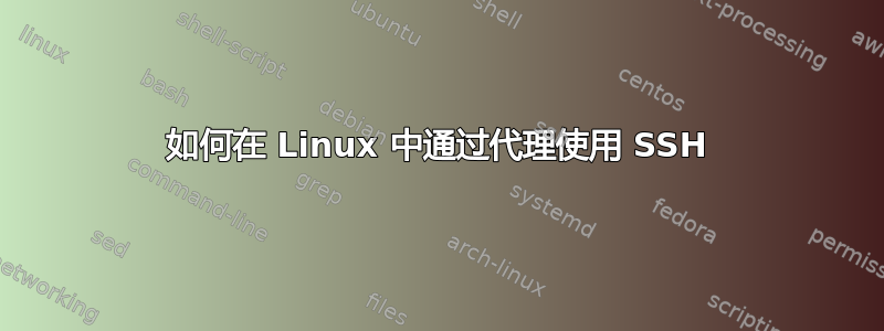 如何在 Linux 中通过代理使用 SSH