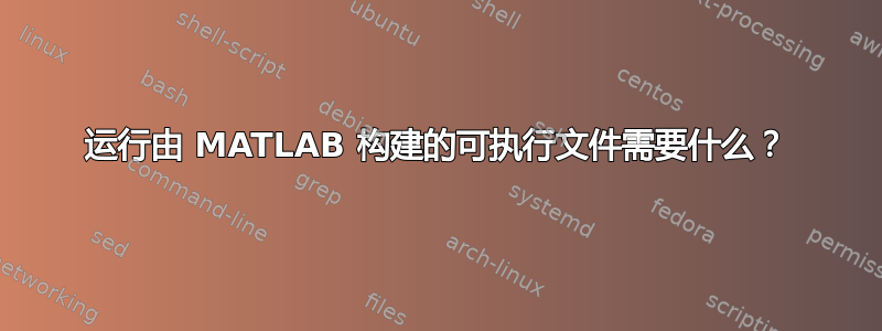 运行由 MATLAB 构建的可执行文件需要什么？