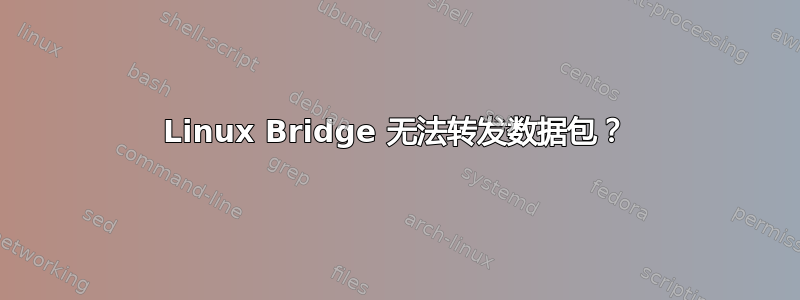 Linux Bridge 无法转发数据包？