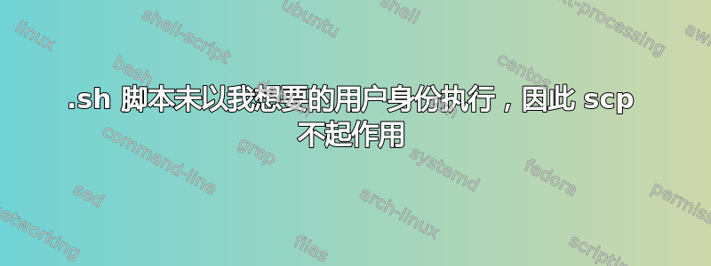 .sh 脚本未以我想要的用户身份执行，因此 scp 不起作用