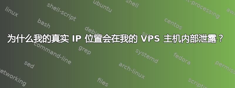 为什么我的真实 IP 位置会在我的 VPS 主机内部泄露？