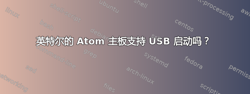 英特尔的 Atom 主板支持 USB 启动吗？