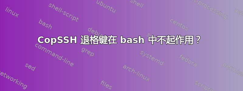 CopSSH 退格键在 bash 中不起作用？