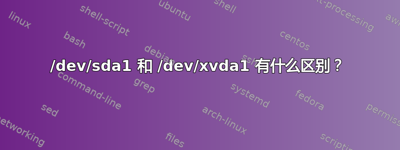 /dev/sda1 和 /dev/xvda1 有什么区别？