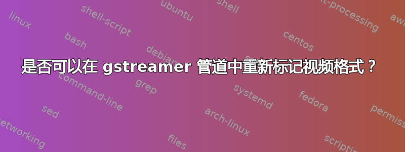 是否可以在 gstreamer 管道中重新标记视频格式？