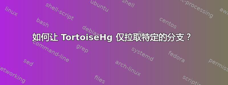 如何让 TortoiseHg 仅拉取特定的分支？