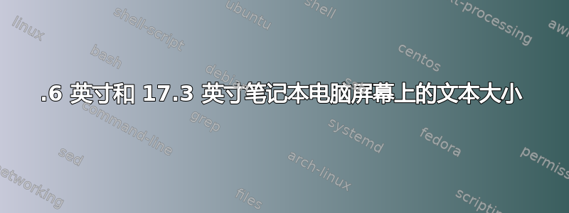 15.6 英寸和 17.3 英寸笔记本电脑屏幕上的文本大小