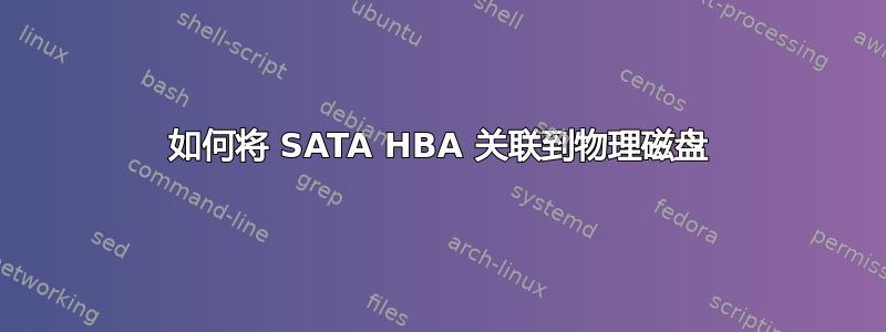 如何将 SATA HBA 关联到物理磁盘