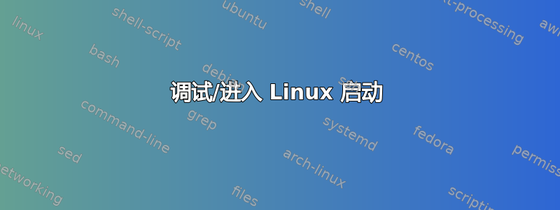 调试/进入 Linux 启动