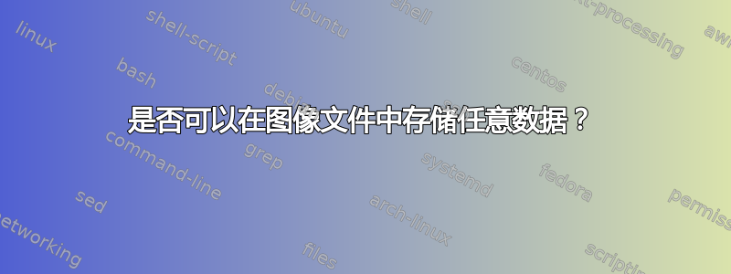 是否可以在图像文件中存储任意数据？