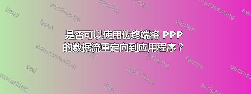 是否可以使用伪终端将 PPP 的数据流重定向到应用程序？