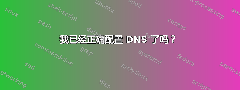 我已经正确配置 DNS 了吗？