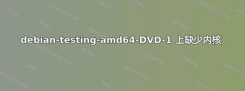 debian-testing-amd64-DVD-1 上缺少内核