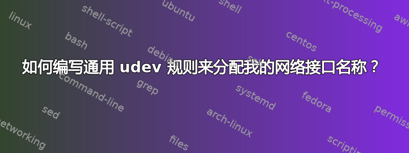 如何编写通用 udev 规则来分配我的网络接口名称？