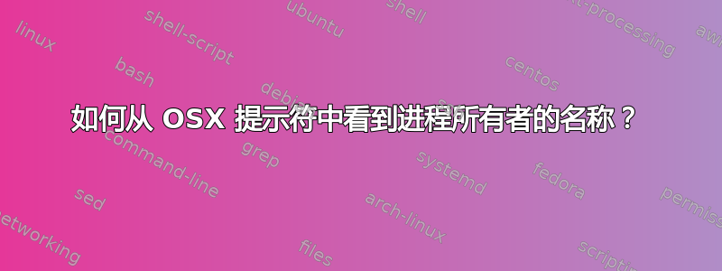 如何从 OSX 提示符中看到进程所有者的名称？