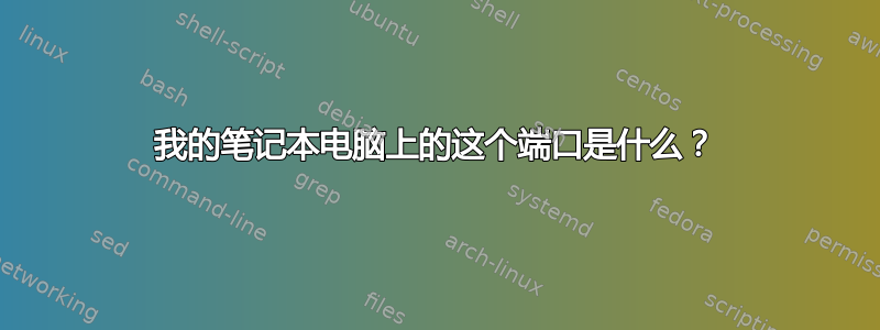 我的笔记本电脑上的这个端口是什么？