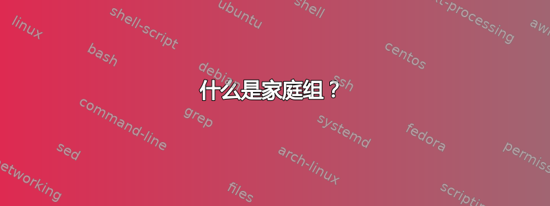 什么是家庭组？