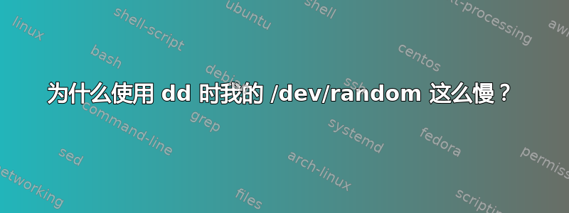 为什么使用 dd 时我的 /dev/random 这么慢？