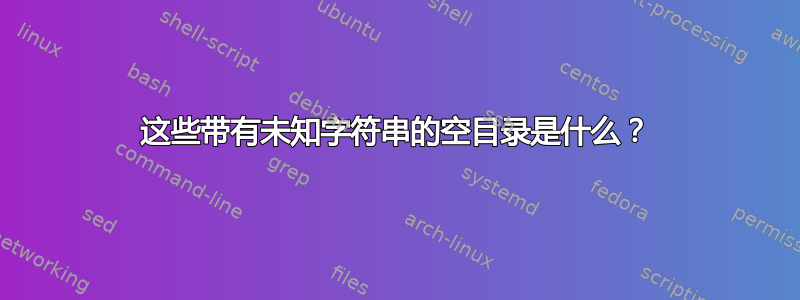 这些带有未知字符串的空目录是什么？