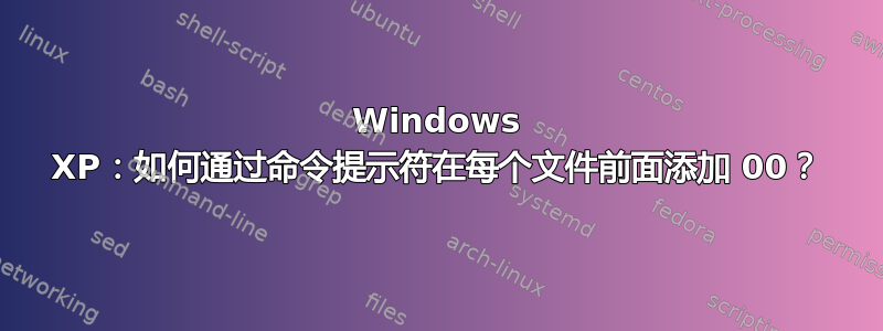 Windows XP：如何通过命令提示符在每个文件前面添加 00？