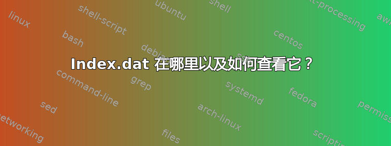 Index.dat 在哪里以及如何查看它？